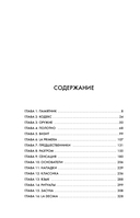 ВОИН. Рафаэль Надаль и его грунтовое царство — фото, картинка — 5