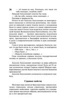 Петербург — фото, картинка — 36