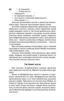 Петербург — фото, картинка — 62