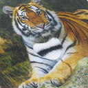 Зоопарк — фото, картинка — 1