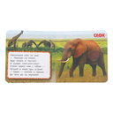 Зоопарк — фото, картинка — 2