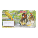 Зоопарк — фото, картинка — 3