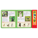 Домашние животные — фото, картинка — 1