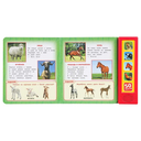 Домашние животные — фото, картинка — 2