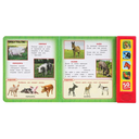 Домашние животные — фото, картинка — 3