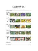 Красная книга Республики Беларусь. Растения — фото, картинка — 1