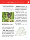 Красная книга Республики Беларусь. Растения — фото, картинка — 5