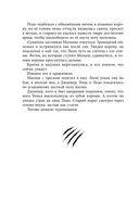 Чёрная Карета — фото, картинка — 46