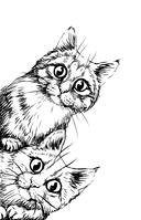 Пушистое очарование. Раскраска антристресс — фото, картинка — 1