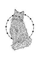 Пушистое очарование. Раскраска антристресс — фото, картинка — 14