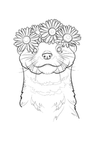 Пушистое очарование. Раскраска антристресс — фото, картинка — 5