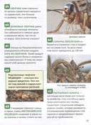 Насекомые. 250 фактов — фото, картинка — 2