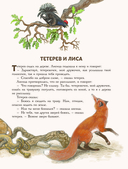 Сказки и рассказы — фото, картинка — 11