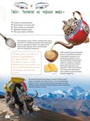 Про чай. Иллюстрированная энциклопедия для детей и взрослых — фото, картинка — 2