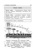 Биология — фото, картинка — 18