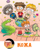 Тело человека — фото, картинка — 17