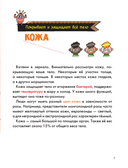 Тело человека — фото, картинка — 18