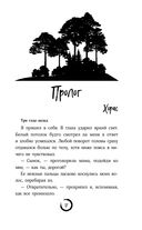 В погоне за счастьем — фото, картинка — 17