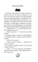 В погоне за счастьем — фото, картинка — 21