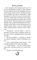 В погоне за счастьем — фото, картинка — 34