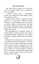 В погоне за счастьем — фото, картинка — 38