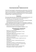 Анатомия тела в движении — фото, картинка — 24