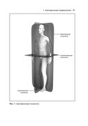 Анатомия тела в движении — фото, картинка — 25