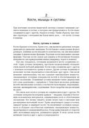 Анатомия тела в движении — фото, картинка — 30