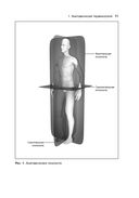 Анатомия тела в движении — фото, картинка — 8
