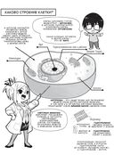 Занимательная биохимия — фото, картинка — 22