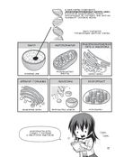 Занимательная биохимия — фото, картинка — 23