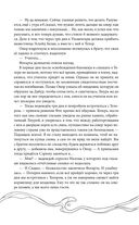 Эхо Миштар. Вершины и пропасти — фото, картинка — 41