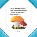 Хто хаваецца ў лесе? — фото, картинка — 3