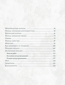 Хочу котёнка. Создание реалистичных котят в технике сухого валяния — фото, картинка — 2