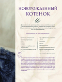 Хочу котёнка. Создание реалистичных котят в технике сухого валяния — фото, картинка — 5