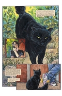 Создания ночи — фото, картинка — 1