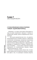 Мозг. Всё о самом ленивом органе — фото, картинка — 12