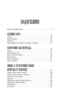 Мифы русского народа. Духи и демоны, ведьмы и колдуны, загробный мир и его обитатели — фото, картинка — 8