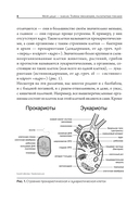 Мой дядя – банан. Тайны эволюции, раскрытые генами — фото, картинка — 2