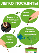 Набор для выращивания растений 