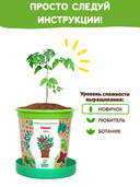 Набор для выращивания растений 