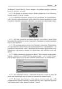 Не пугайся, это – физика! — фото, картинка — 28