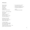 Пограничка — фото, картинка — 12