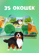 Любимые животные. Энциклопедия с окошками — фото, картинка — 3