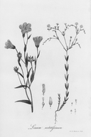 Круг, петля, спираль — фото, картинка — 8