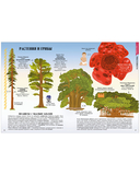 Земля от атома до галактики. Масштабы мира в цифрах — фото, картинка — 7