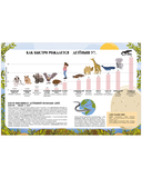 Земля от атома до галактики. Масштабы мира в цифрах — фото, картинка — 9