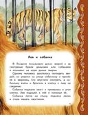 Самые лучшие сказки русских писателей — фото, картинка — 11
