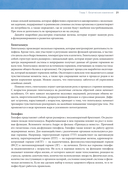 Идеальная фигура и красивое тело в любом возрасте — фото, картинка — 7