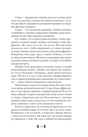 Страсти по лаванде — фото, картинка — 11